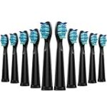 Vergleich der besten Zahnbürstenköpfe: Die Top Fairywill Ersatzbürsten im Test! Vergleich der besten Zahnbürstenköpfe: Die Top Fairywill Ersatzbürsten im Test!