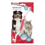 Der ultimative Vergleich: Die besten Zahnbürsten für Katzen im Test Der ultimative Vergleich: Die besten Zahnbürsten für Katzen im Test