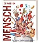Vergleich und Analyse der besten Zahnprodukte: Das perfekte Gebiss im Bild